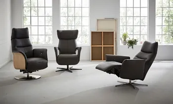 Sie sehen auf dem Bild, Sessel mit verschiedenen Ergonomien, Standfüßen und Rücken